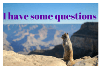 Squirrel asking homeschooling questions
