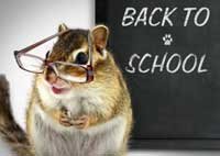 Back to school on chalkboard with chipmunk
