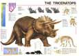 Buy Triceratops at AllPosters.com